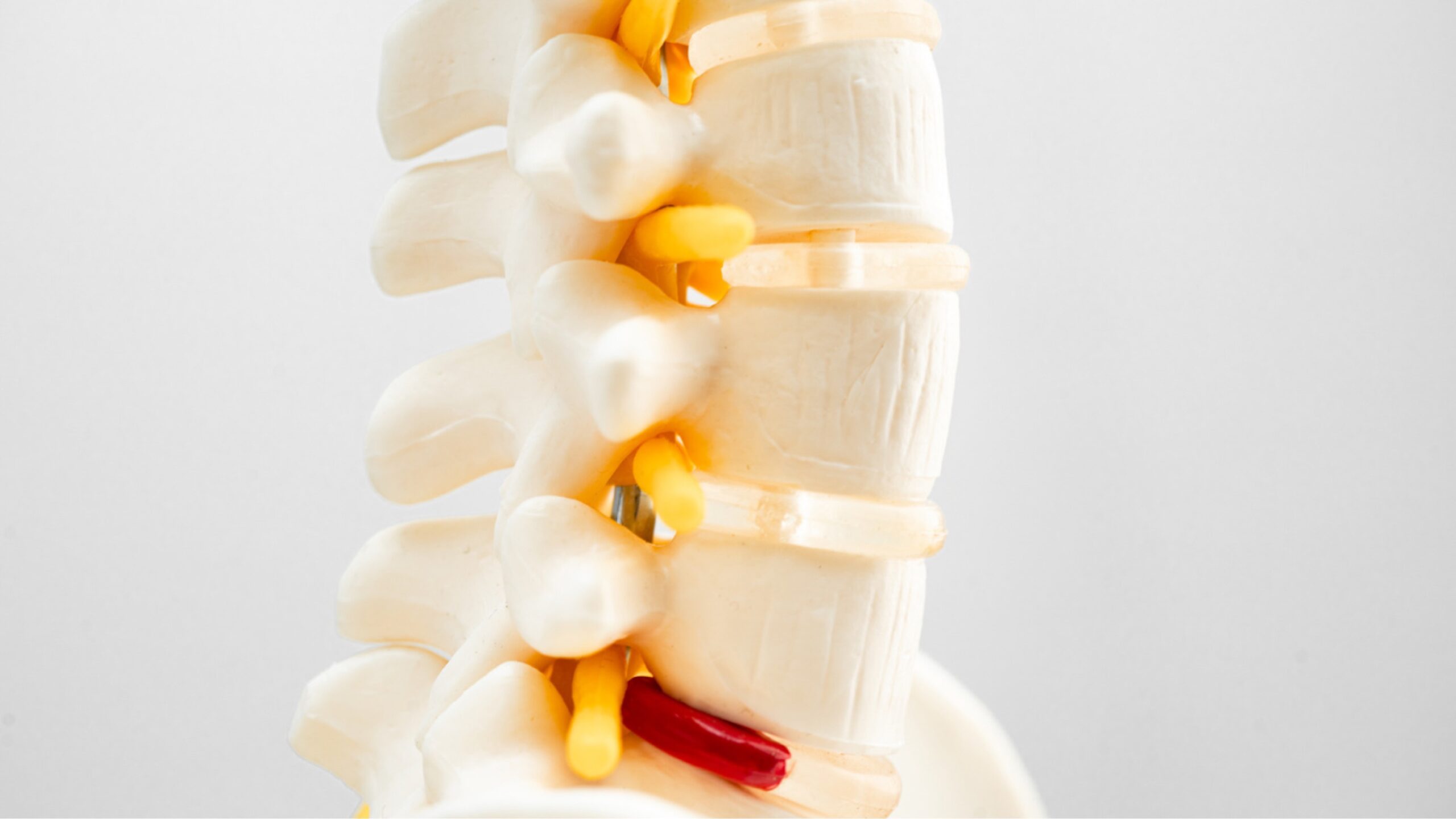 Bandscheiben und Physio